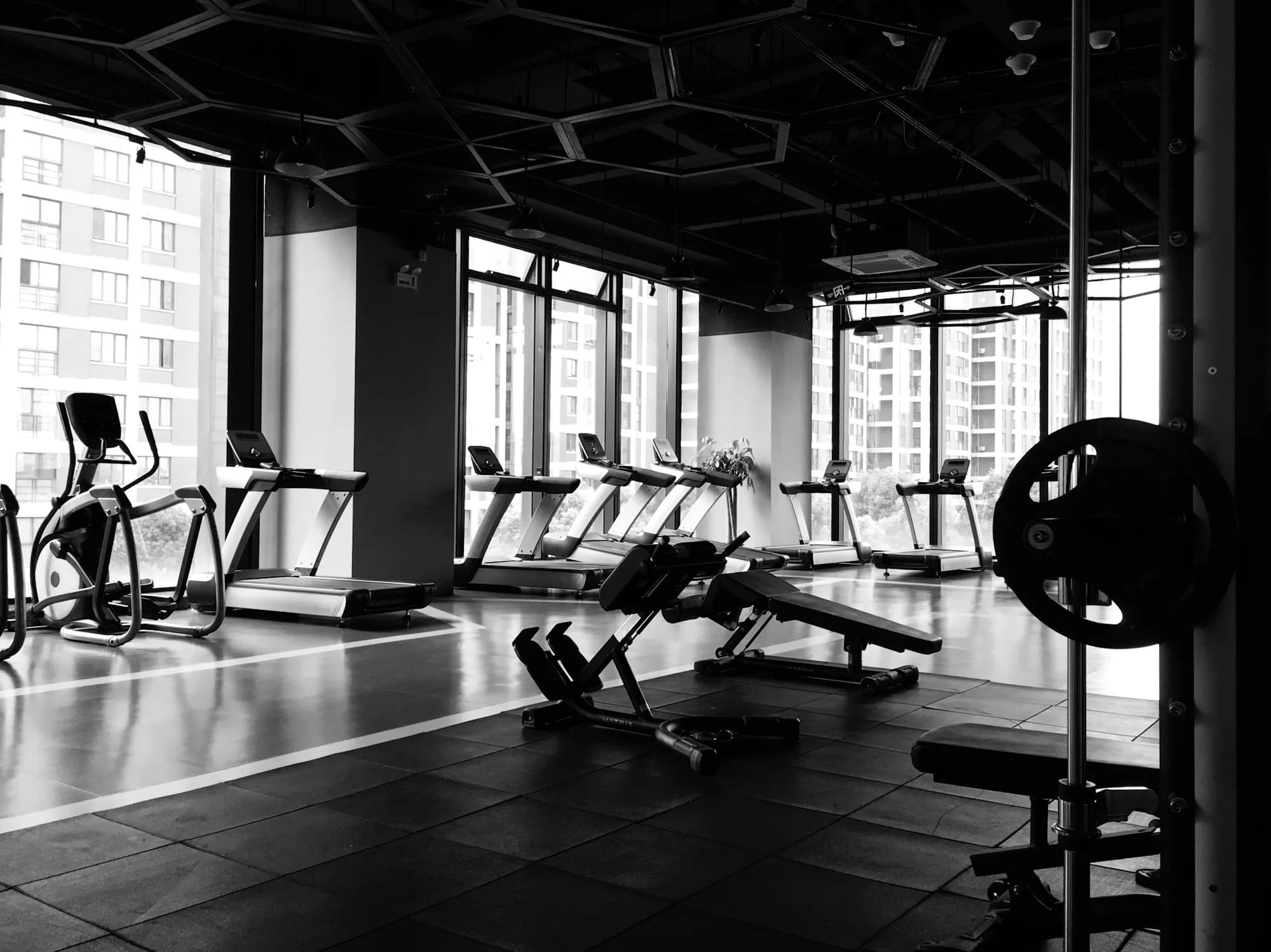 Row of treadmills and cardio equipment in a modern gym